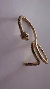 Snakey ring